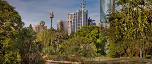 Королевский Ботанический сад в Сиднее